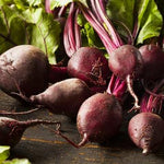 BEETS - Early Wonder Tall Top