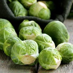 BRUSSEL SPROUTS - Nautic Coated Organic